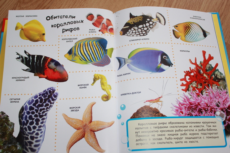 Мир в картинках