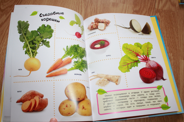 Мир в картинках