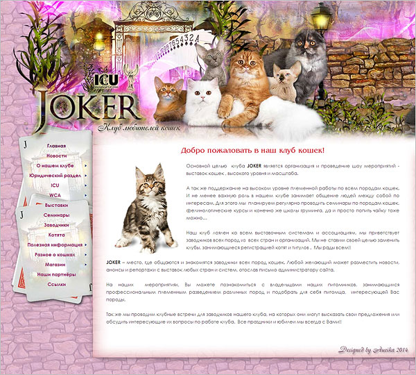 Клуб Джокер