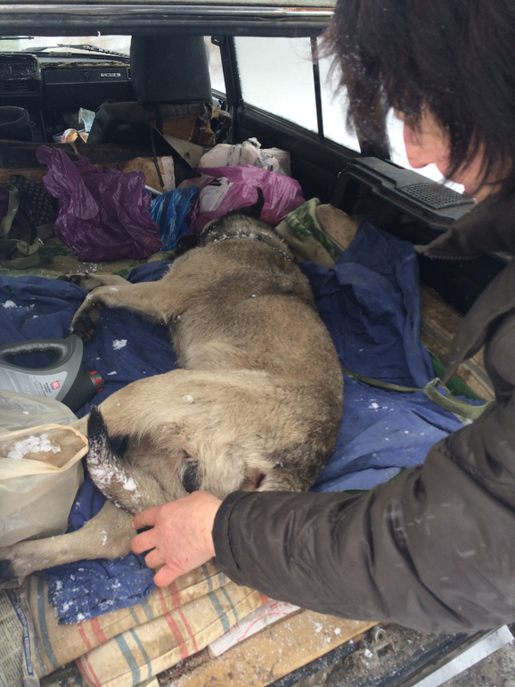 СОС!МОСКВА,ОТЗОВИСЬ!ПОБЕДА!!!ОПЕРАЦИЯ СПАСЕНИЯ ЗАВЕРШЕНА!НО ПОМОЩЬ ЕЩЕ НУЖНА!!!