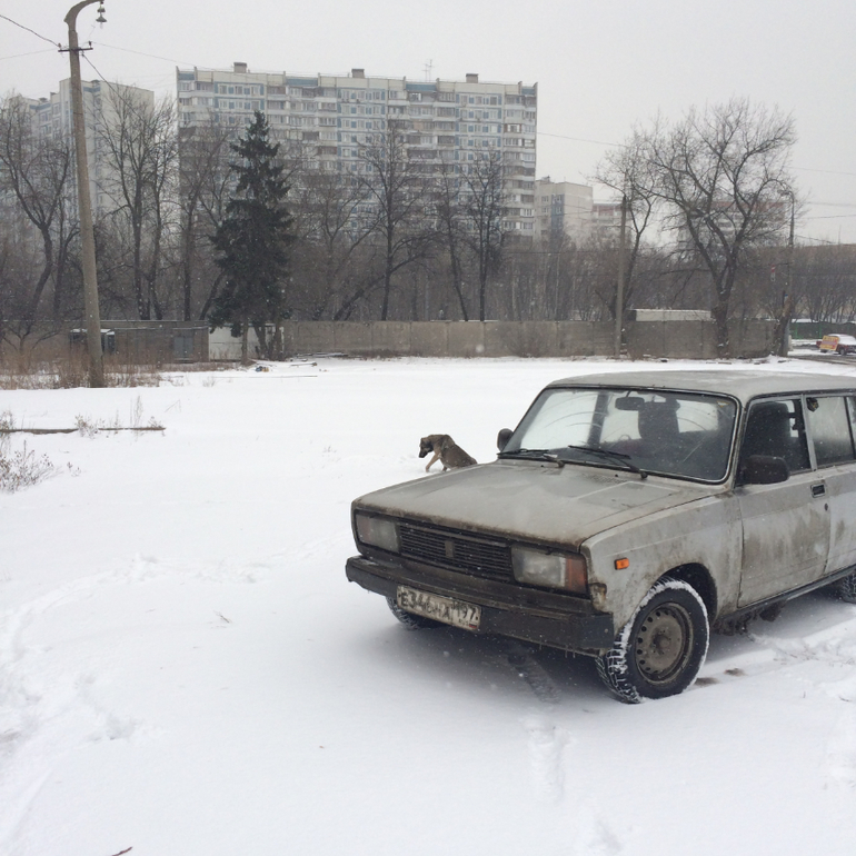 СОС!МОСКВА,ОТЗОВИСЬ!ПОБЕДА!!!ОПЕРАЦИЯ СПАСЕНИЯ ЗАВЕРШЕНА!НО ПОМОЩЬ ЕЩЕ НУЖНА!!!