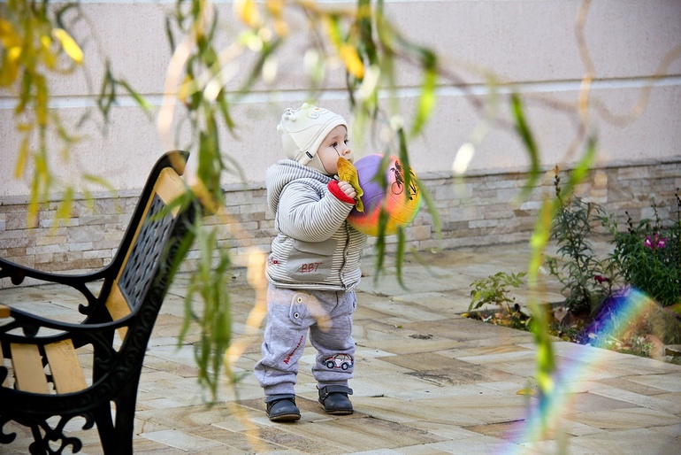 Сельская романтика: фото (без одного дня 11 месяцев)