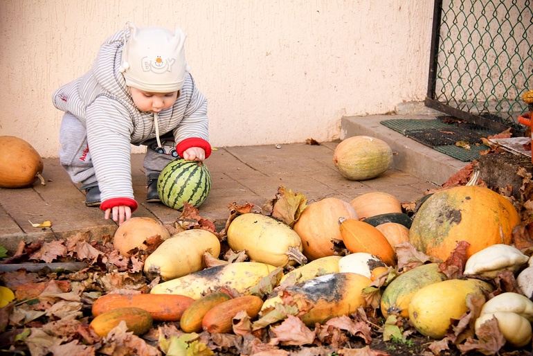 Сельская романтика: фото (без одного дня 11 месяцев)