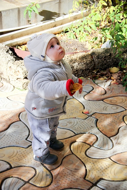 Сельская романтика: фото (без одного дня 11 месяцев)