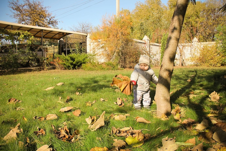 Сельская романтика: фото (без одного дня 11 месяцев)