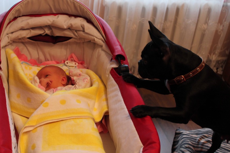 Годовалый пост с опозданием. Лучше поздно, чем никогда.