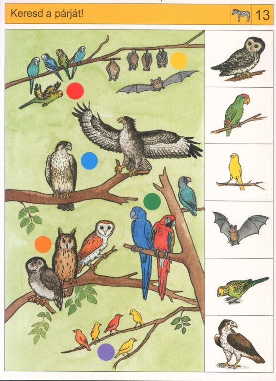 Делюсь занимашками )))