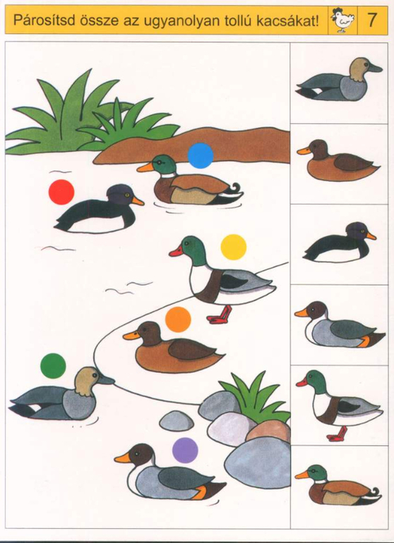 Делюсь занимашками )))