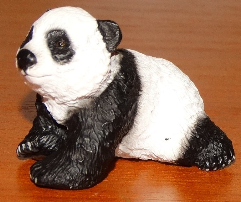 Наш домашний зоопарк.