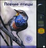 Хотелки