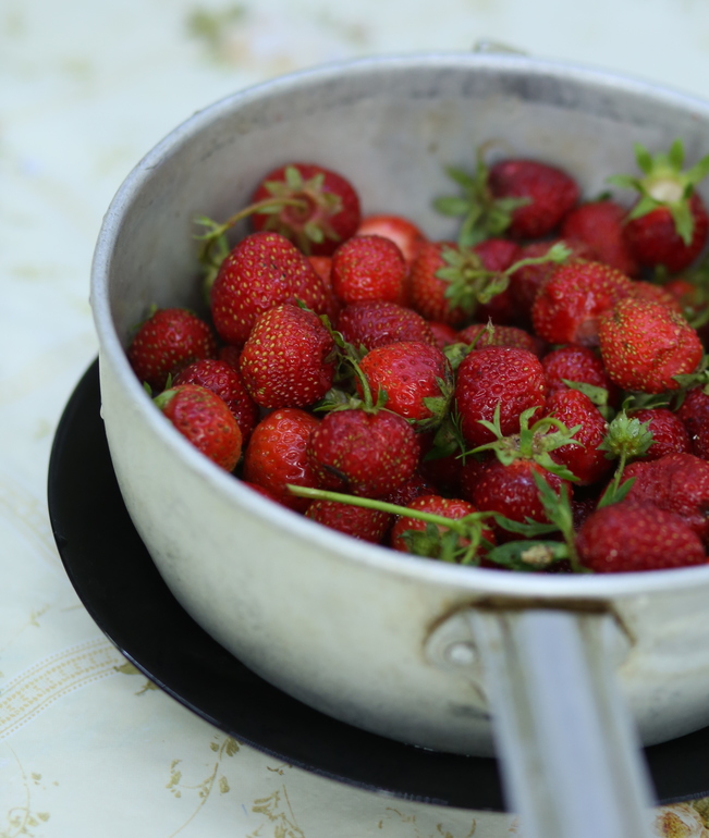 На выходных у бабушки)