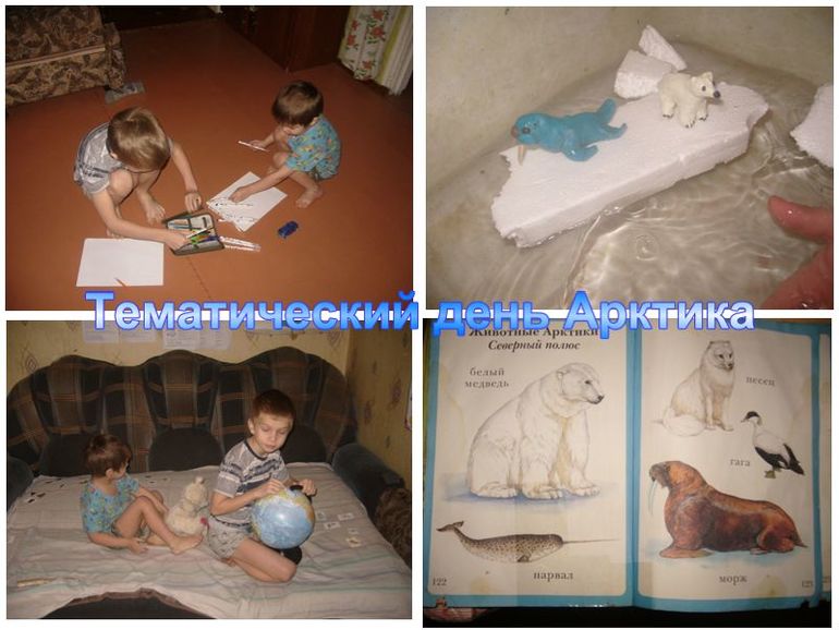 Тематический день Арктика