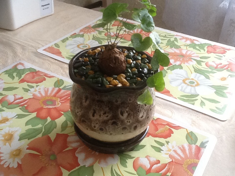 Обновочки:)