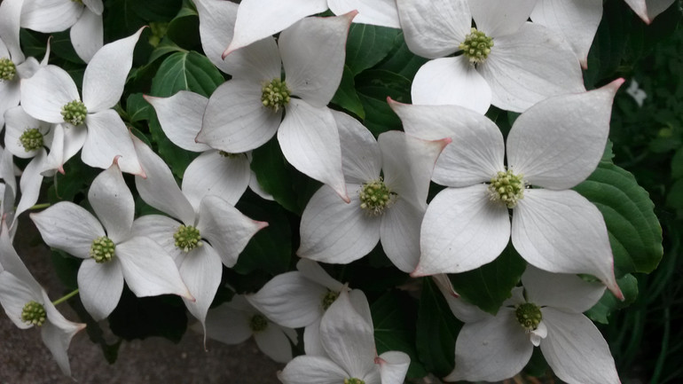 Для хорошего настроения:)