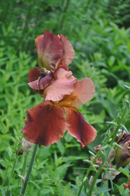 Для хорошего настроения:)