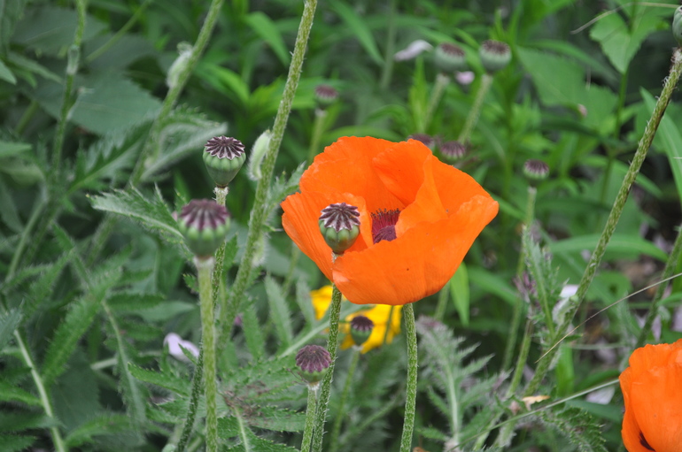 Для хорошего настроения:)