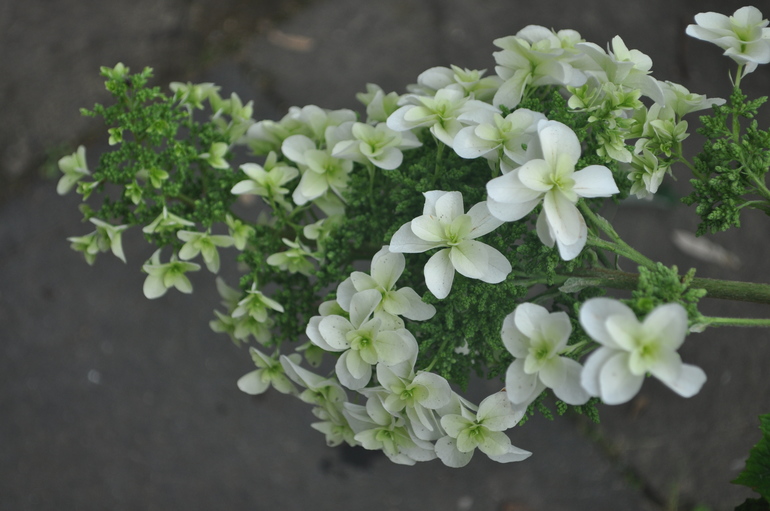 Для хорошего настроения:)