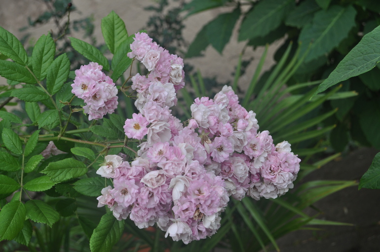 Для хорошего настроения:)