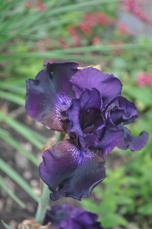 Для хорошего настроения:)