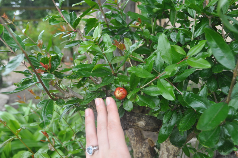 Для хорошего настроения:)