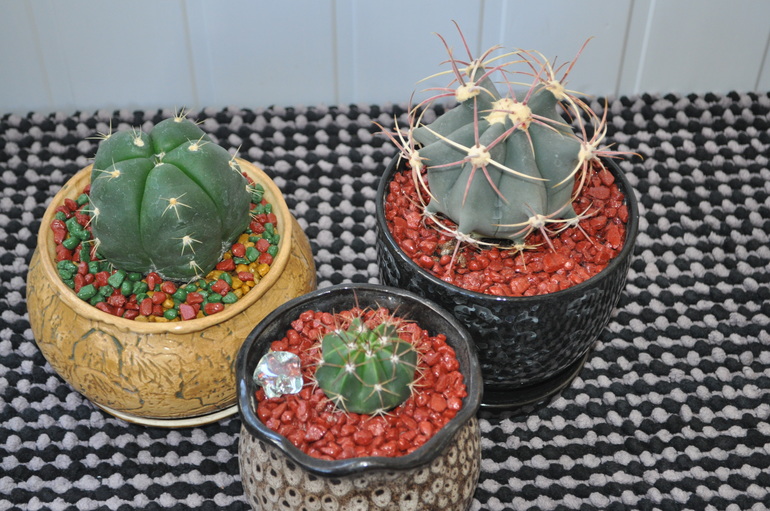 Что мы имеем на сегодняшний день:)