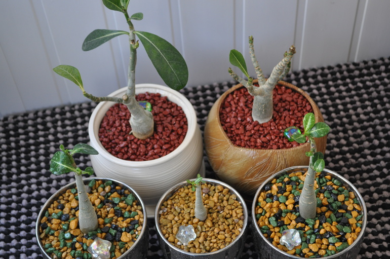 Что мы имеем на сегодняшний день:)