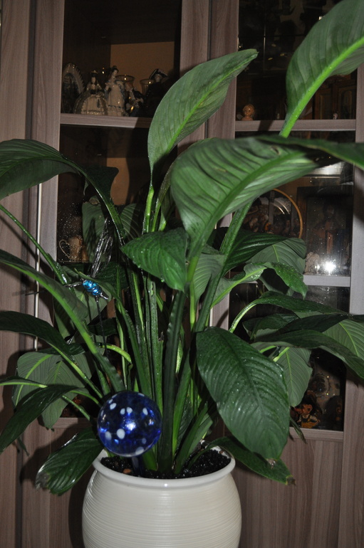 Что мы имеем на сегодняшний день:)