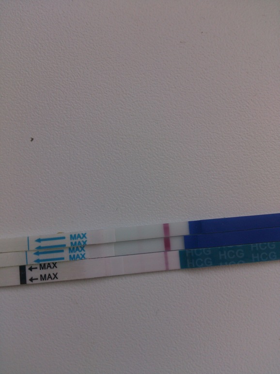 теперь сомнения нет??!!