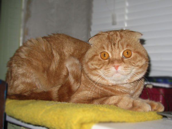 посоветуйте!