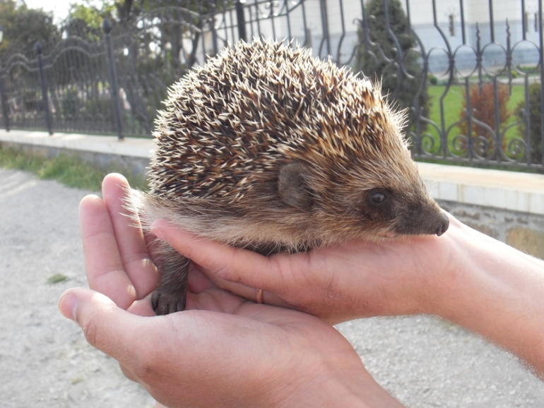 Крым моими глазами (семейные фото)