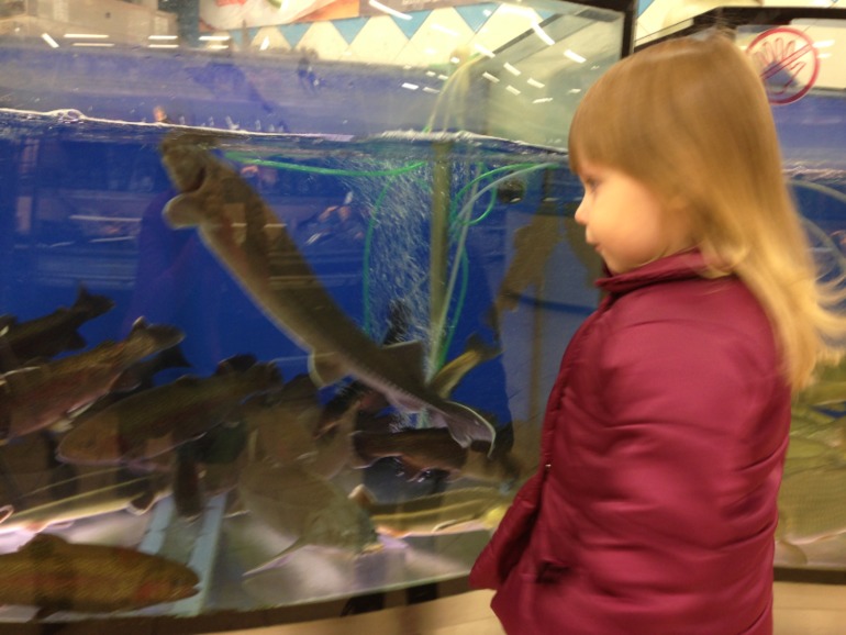 Один пазл Счасья ( 30.10.2013 г.)