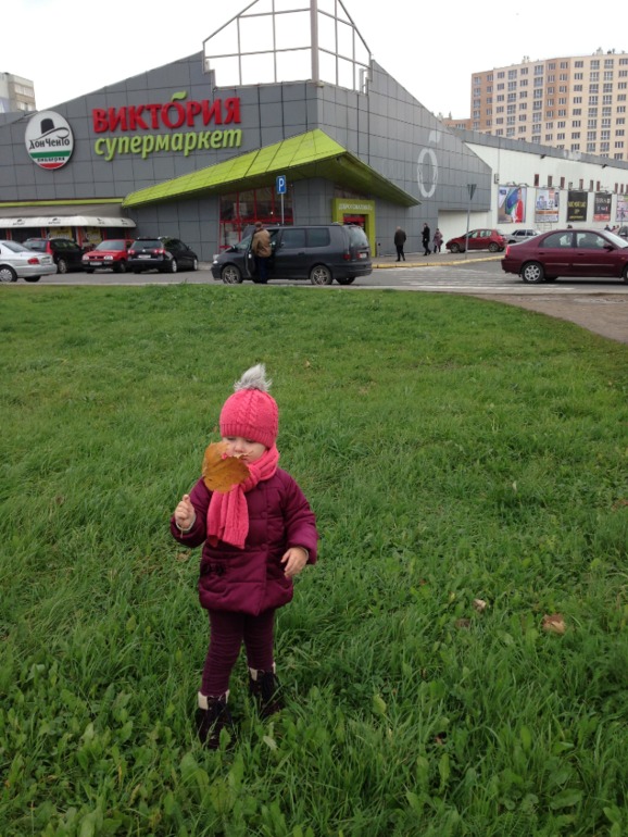 Один пазл Счасья ( 30.10.2013 г.)