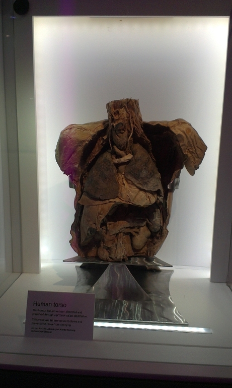 30 декабря. Научный музей!