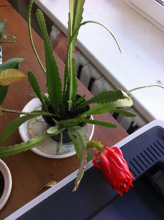 Трудно не поверить.