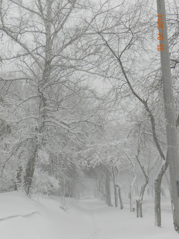 Апрель-это как январь, только апрель)