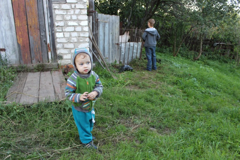 Свинки )