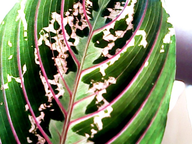 Нужна помощь!