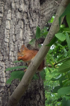 Выставка в ЦДХ.