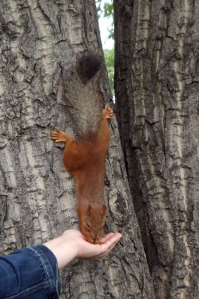 Выставка в ЦДХ.