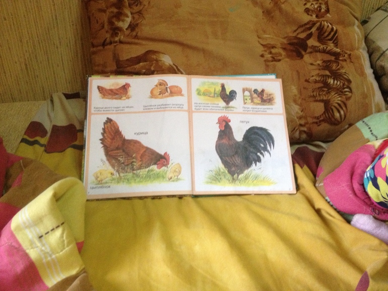 Отчет по флешмобу кто-то в яичке живет