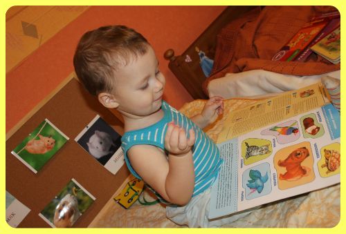 ТН Домашние животные, день 5 - Мыши и хомячки