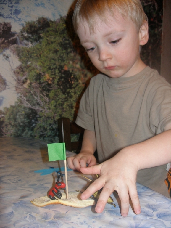 ТН "Насекомые". День 2 и 3