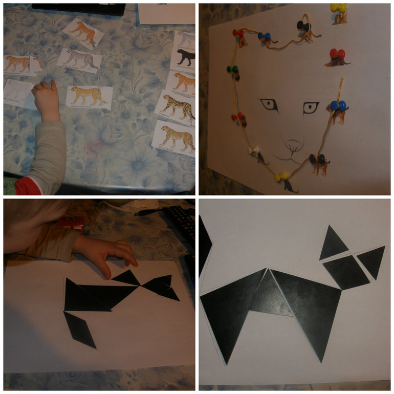 ТН Дикие кошки