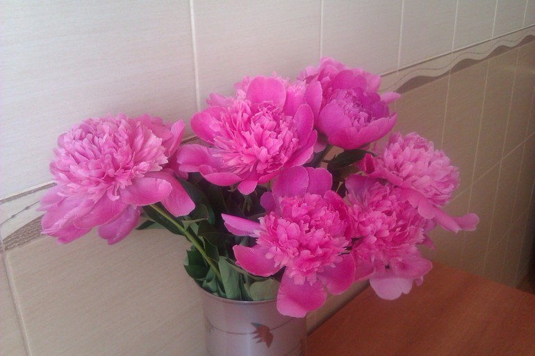 Мои любимые цветы!!!