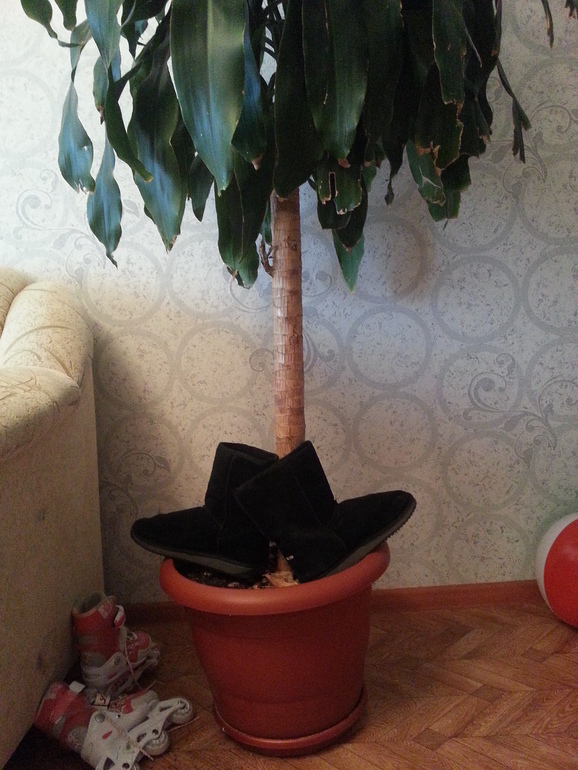 К зиме готовы