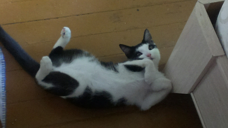 не ну эта наглость