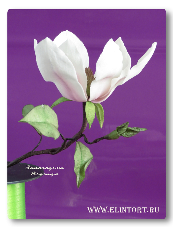 Мои Цветы со второго курса Олеси Голумбевской.