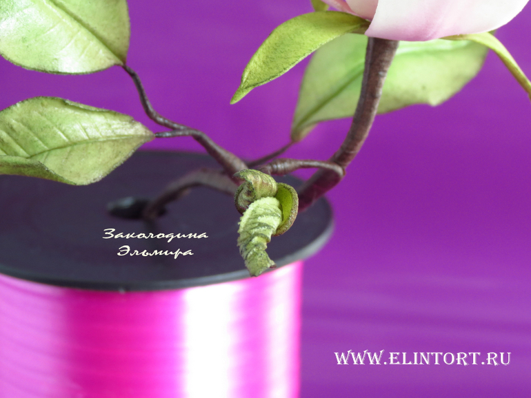 Мои Цветы со второго курса Олеси Голумбевской.