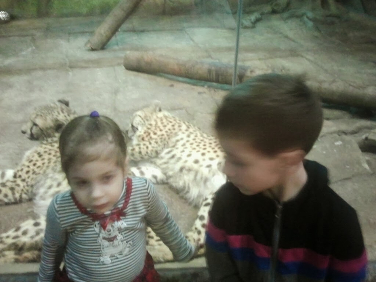 Экзотариум, океанариум