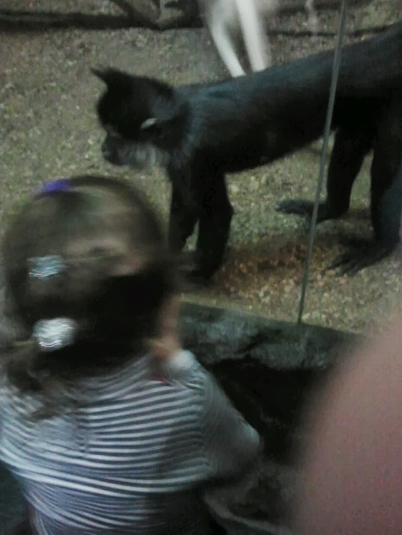 Экзотариум, океанариум